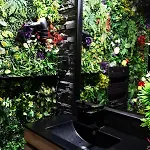 Apartament Heart Jungle *