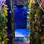 Apartament Heart Jungle *