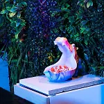 Heart Jungle Apartament *